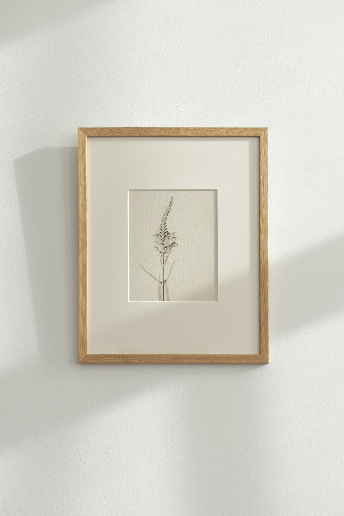 01. - Limited to 25