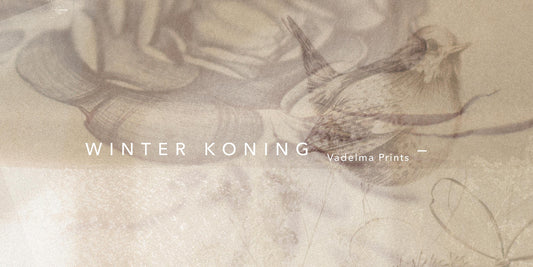 Winter Koning – The Perfect Gift for Every Season