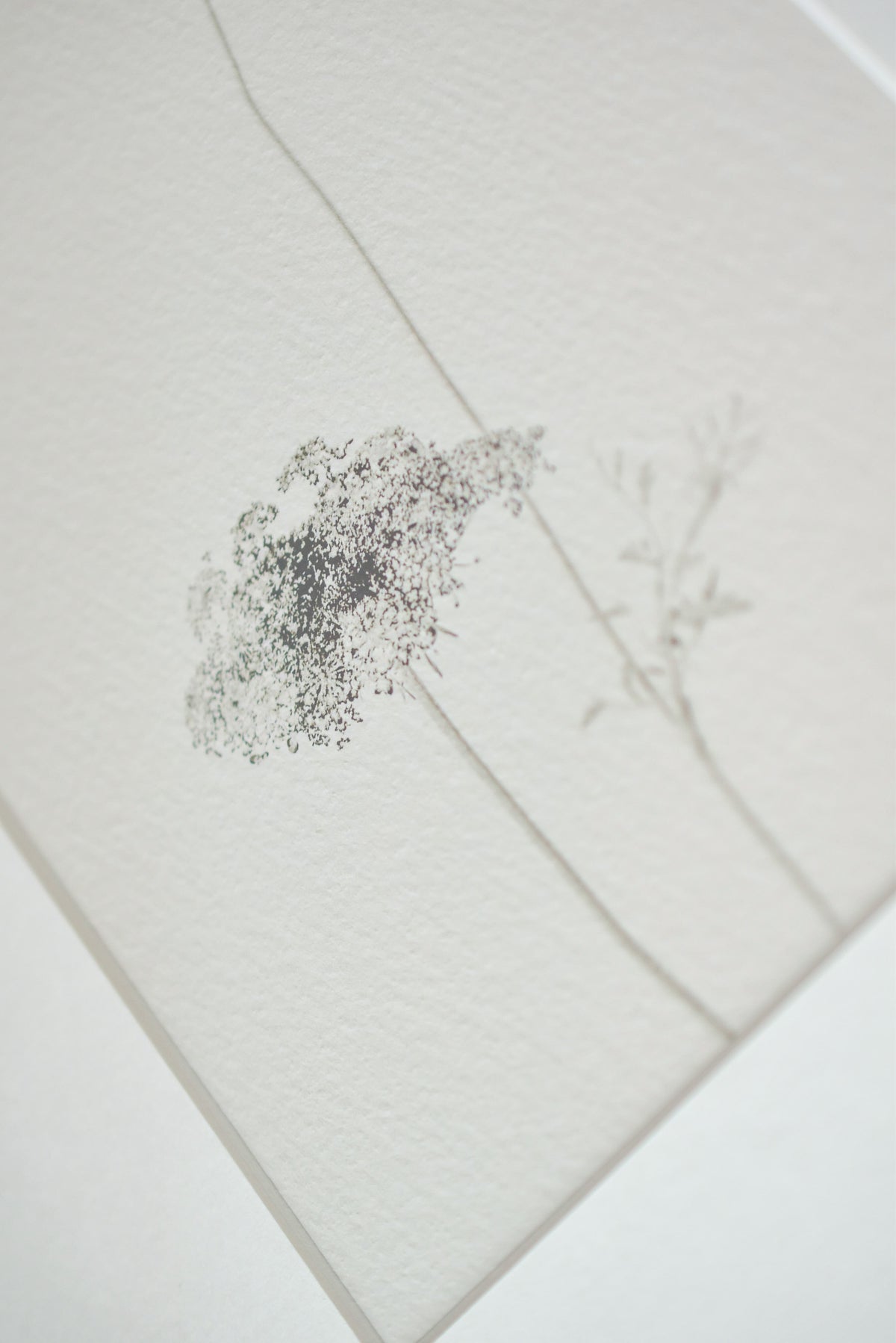 A close-up of a textured off-white paper featuring a delicate botanical print with a dense, speckled gray flower cluster and thin, minimalist stems.
