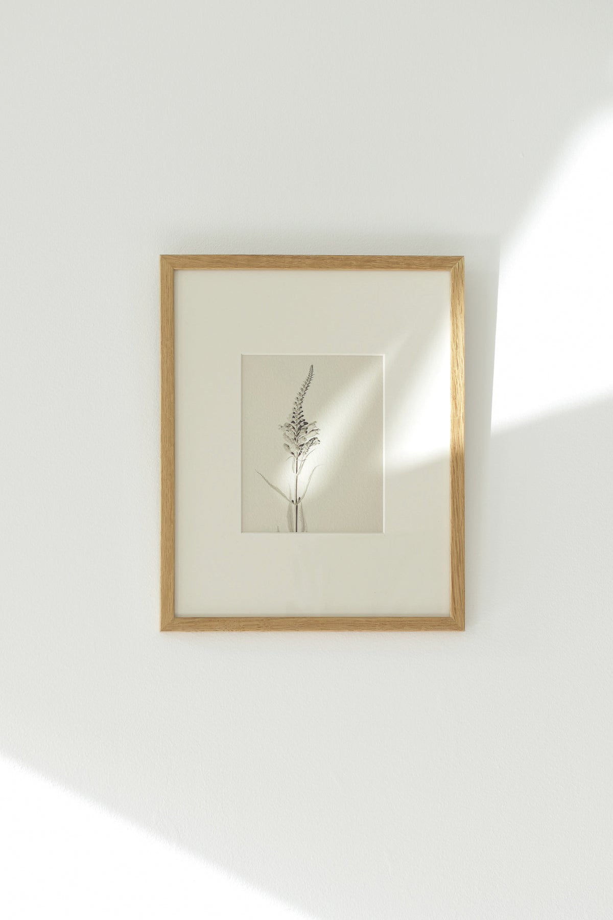 01. - Limited to 25