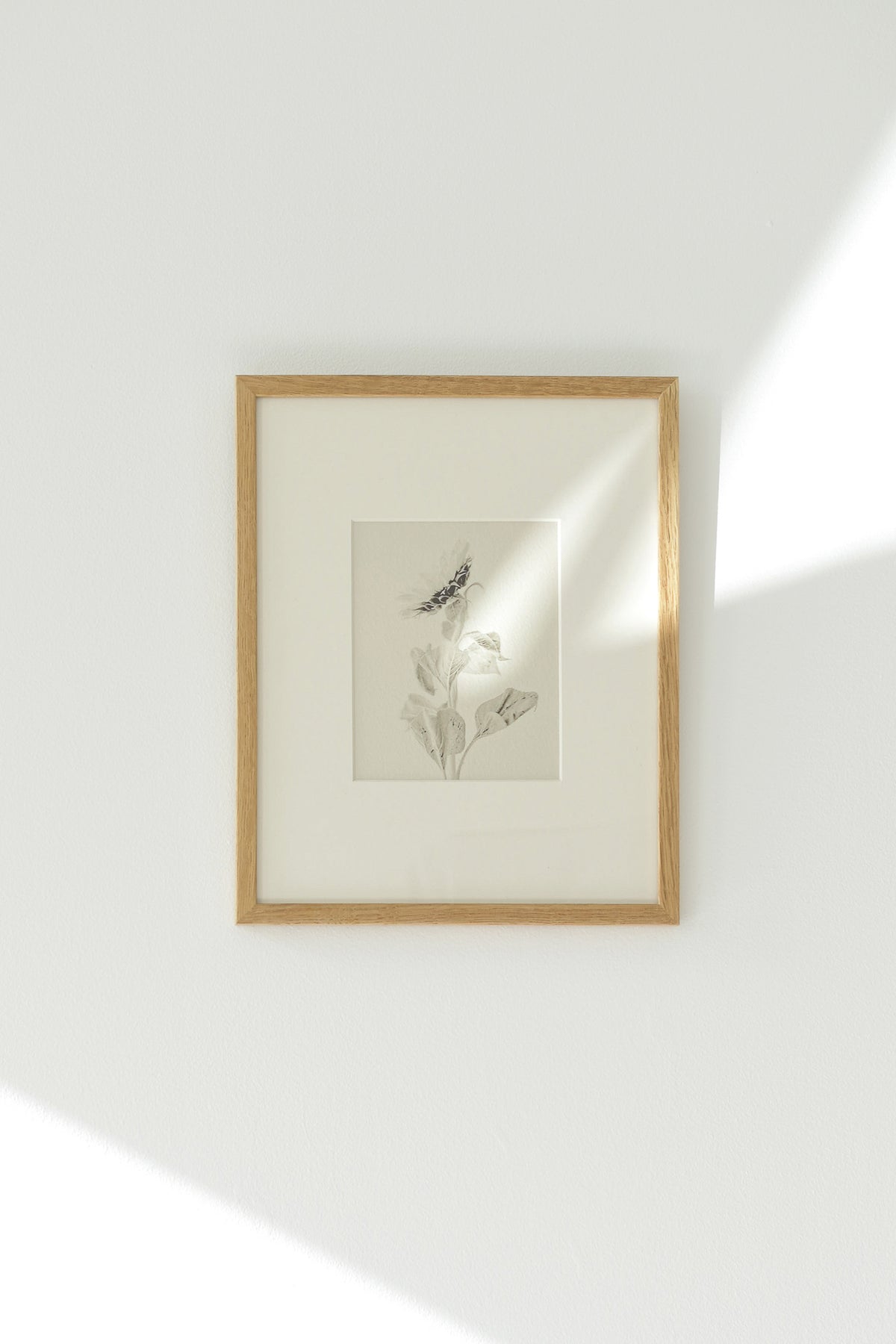 04. - Limited to 25
