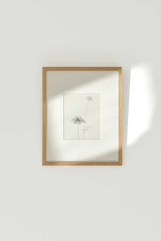 03. - Limited to 50
