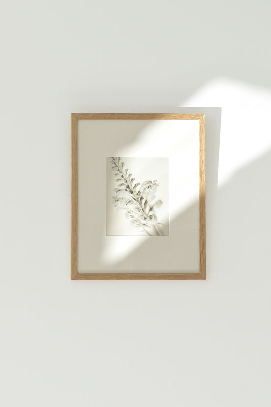 02. - Limited to 50