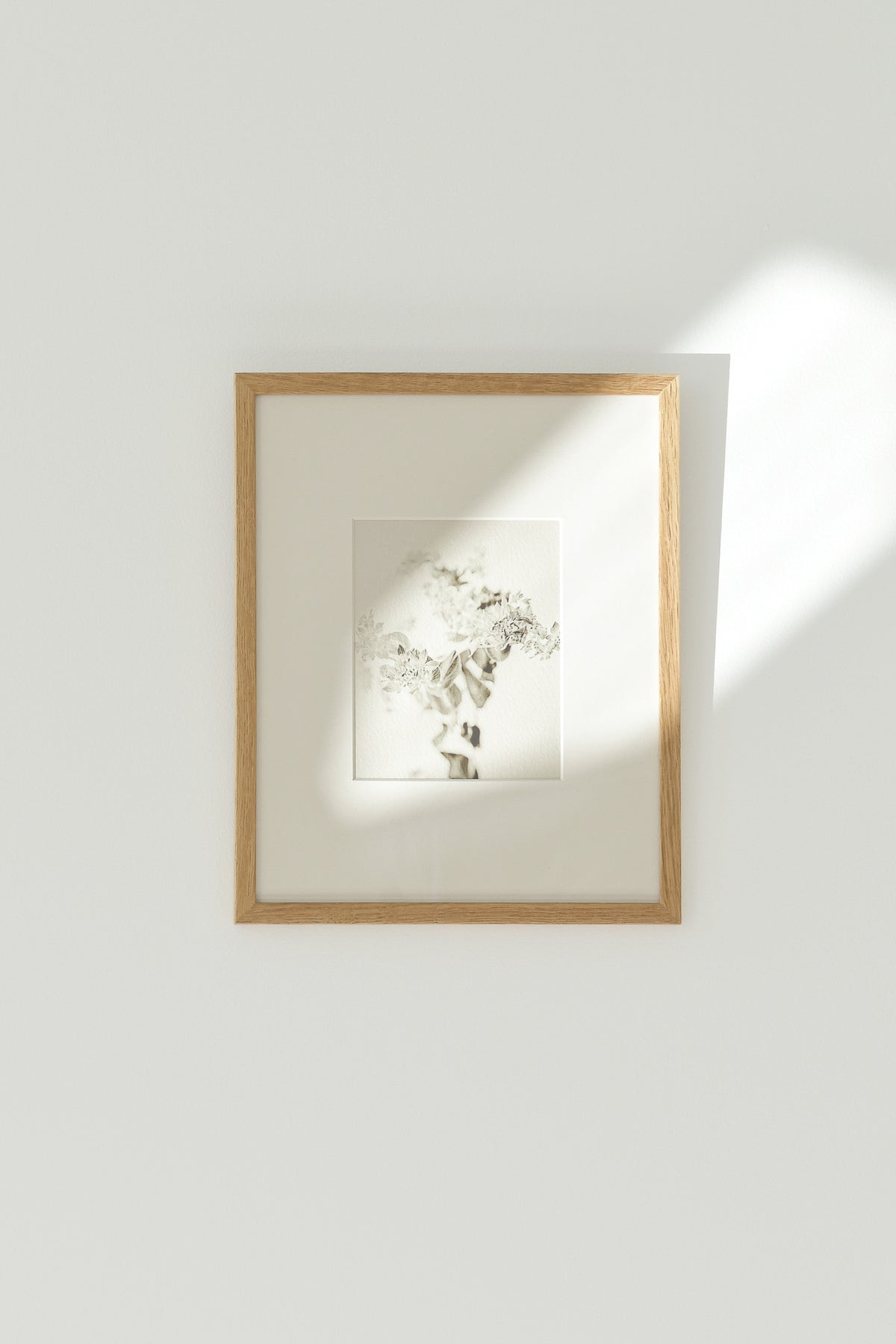 Untitled Botanical Study – Ultra-Limited Fine Art Photography (25 pcs)