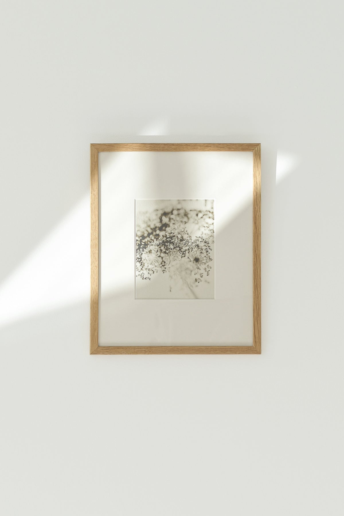 Soft Shadow – Ultra-Limited Fine Art Photography (25 pcs)