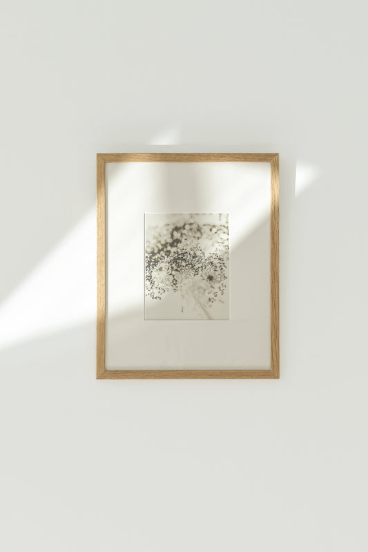 Soft Shadow – Ultra-Limited Fine Art Photography (25 pcs)