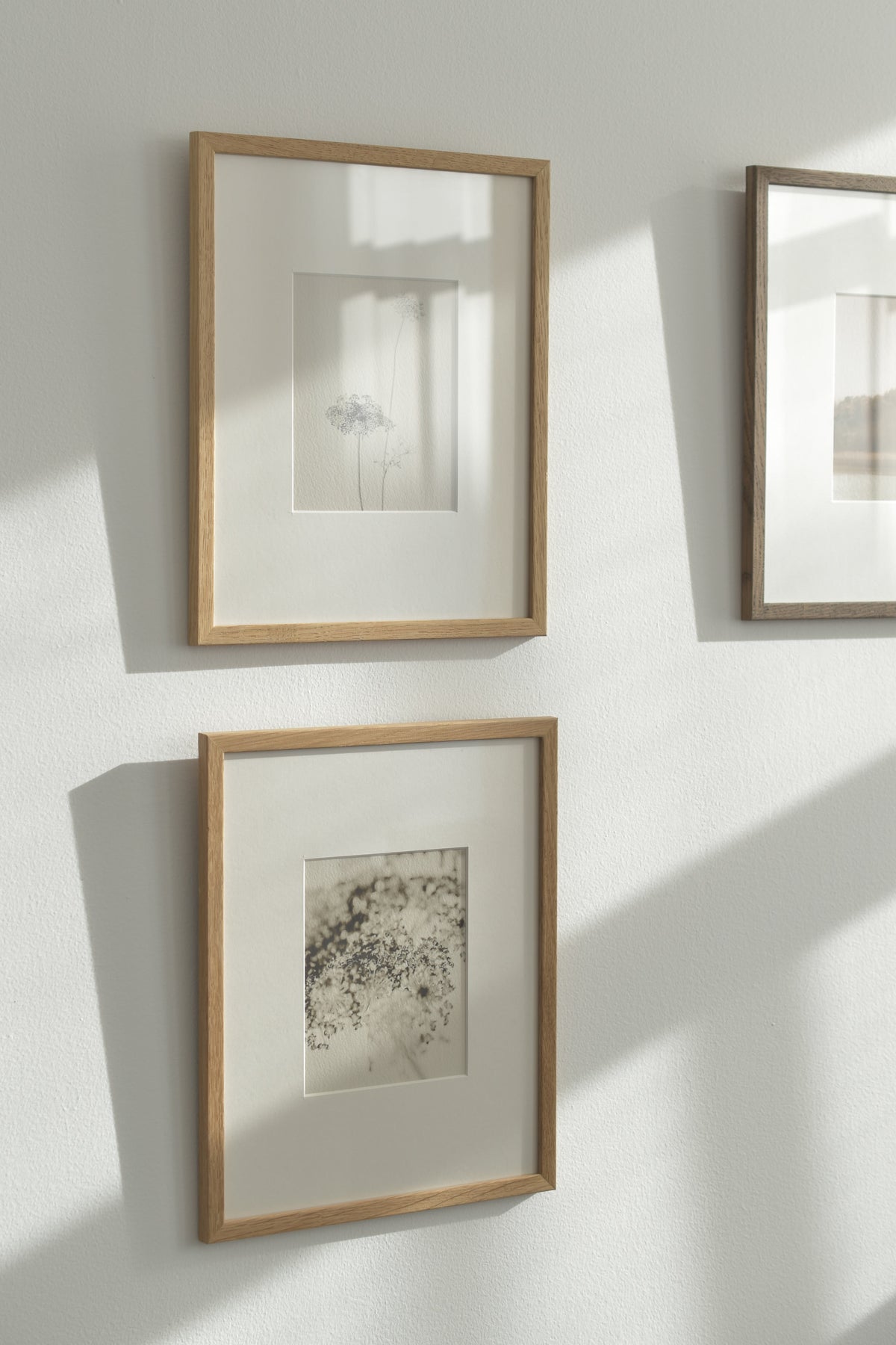 Soft Shadow – Ultra-Limited Fine Art Photography (25 pcs)