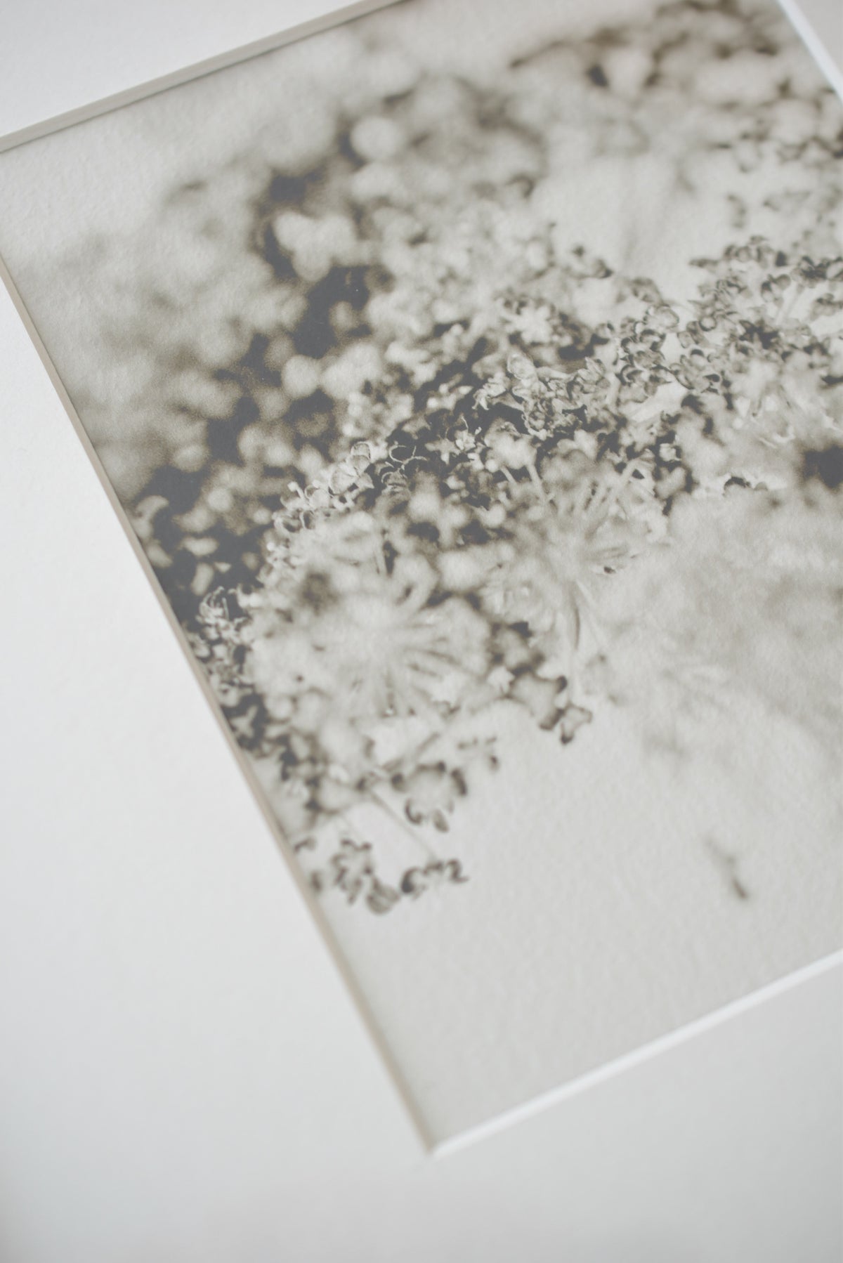 Soft Shadow – Ultra-Limited Fine Art Photography (25 pcs)