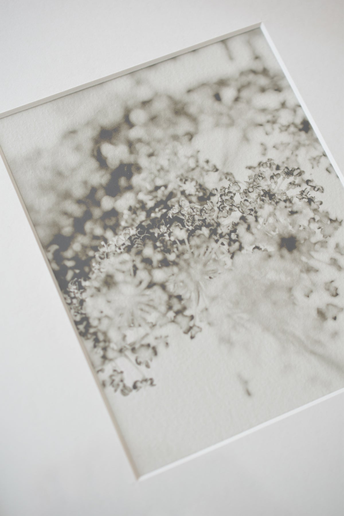 Soft Shadow – Ultra-Limited Fine Art Photography (25 pcs)