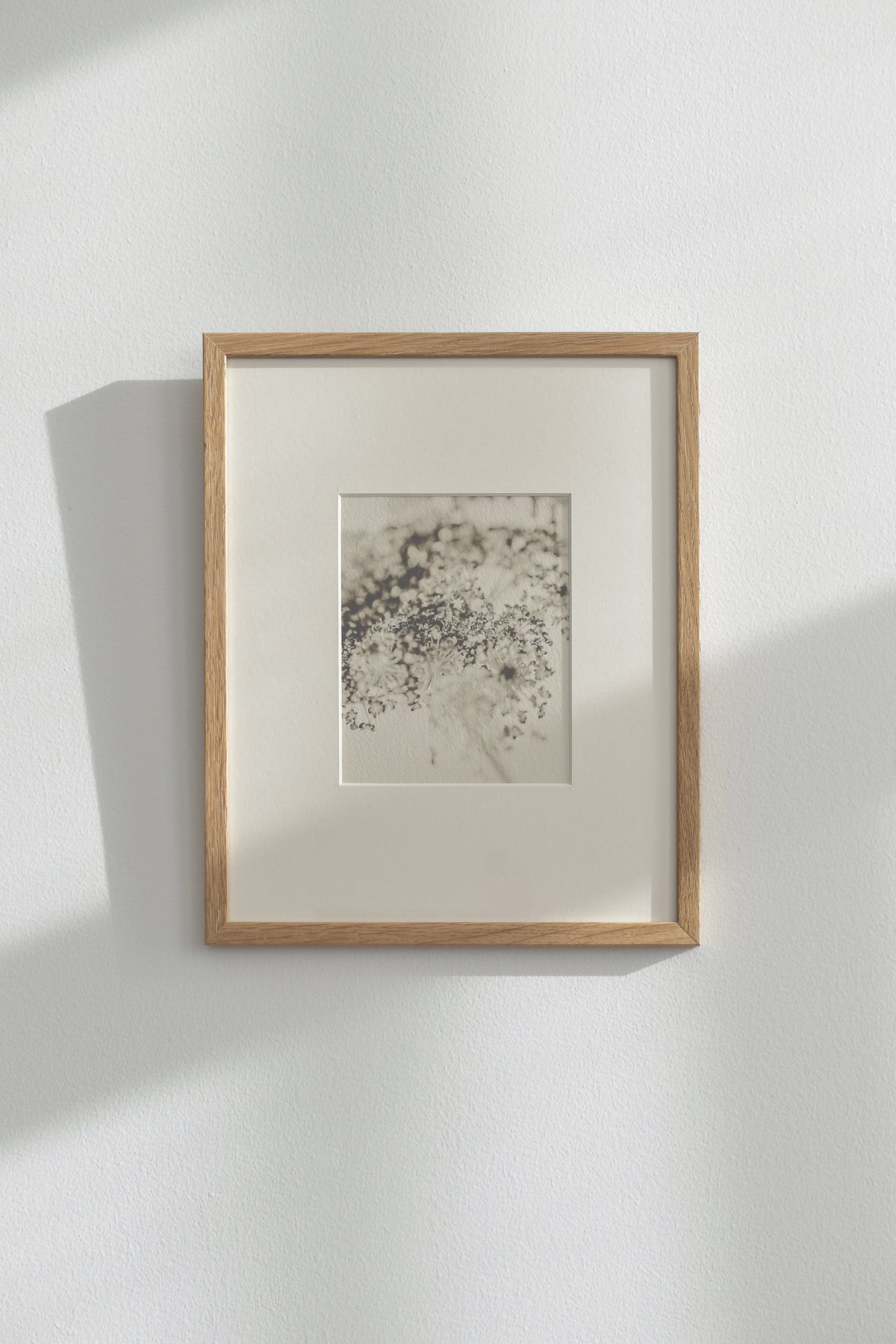 Soft Shadow – Ultra-Limited Fine Art Photography (25 pcs)