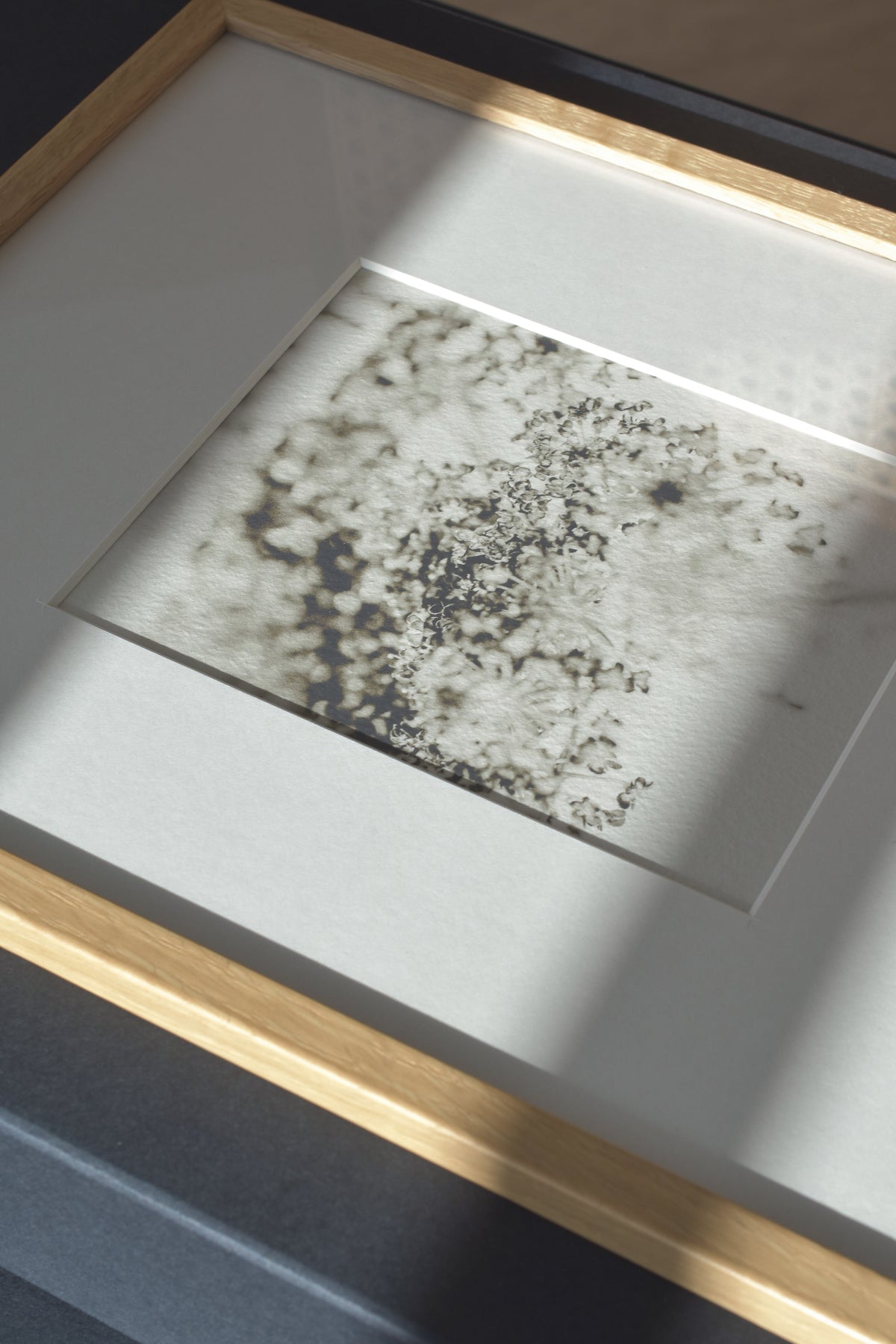 Soft Shadow – Ultra-Limited Fine Art Photography (25 pcs)