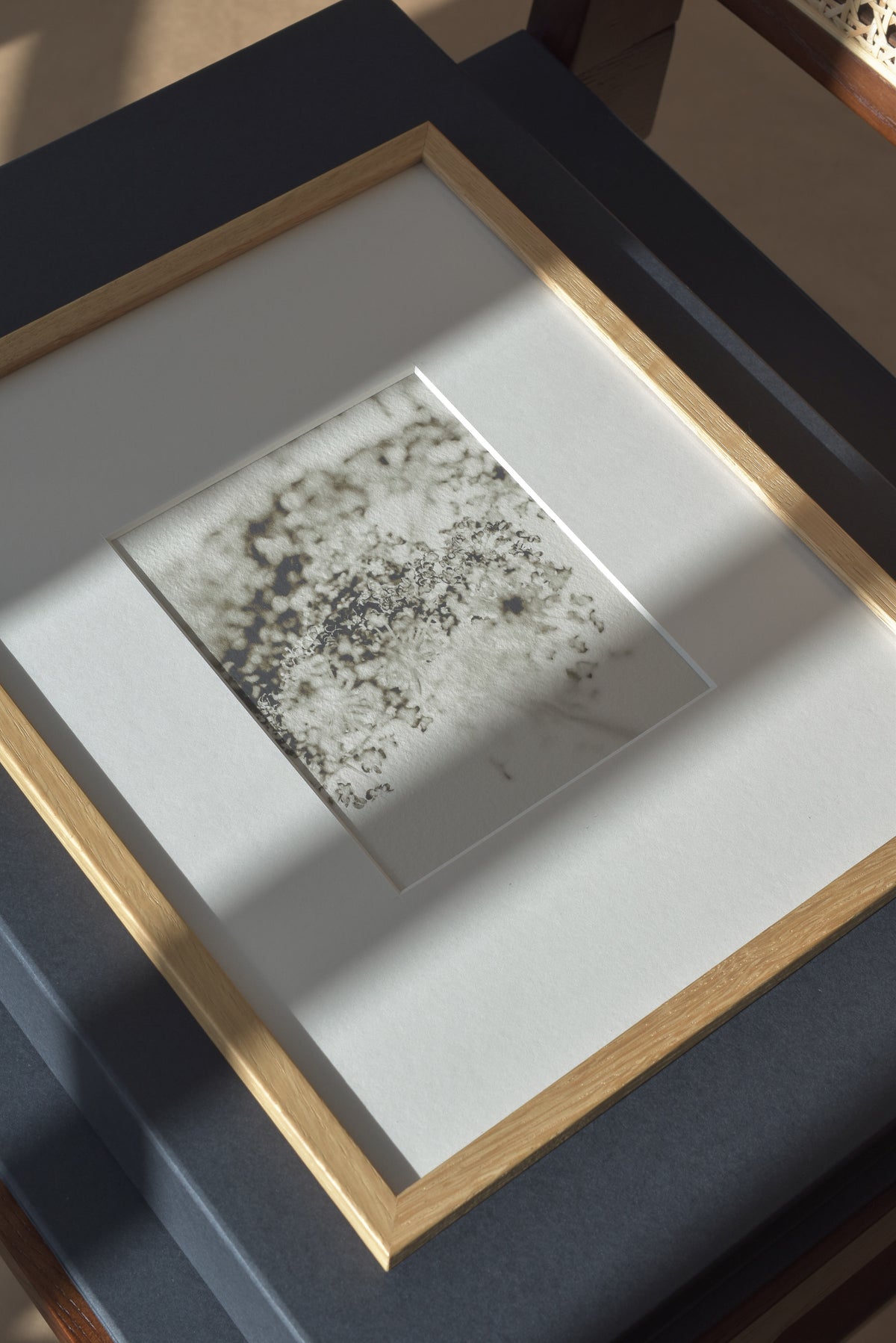 Soft Shadow – Ultra-Limited Fine Art Photography (25 pcs)