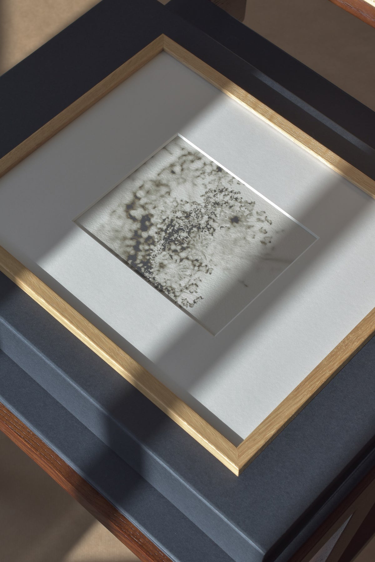 Soft Shadow – Ultra-Limited Fine Art Photography (25 pcs)